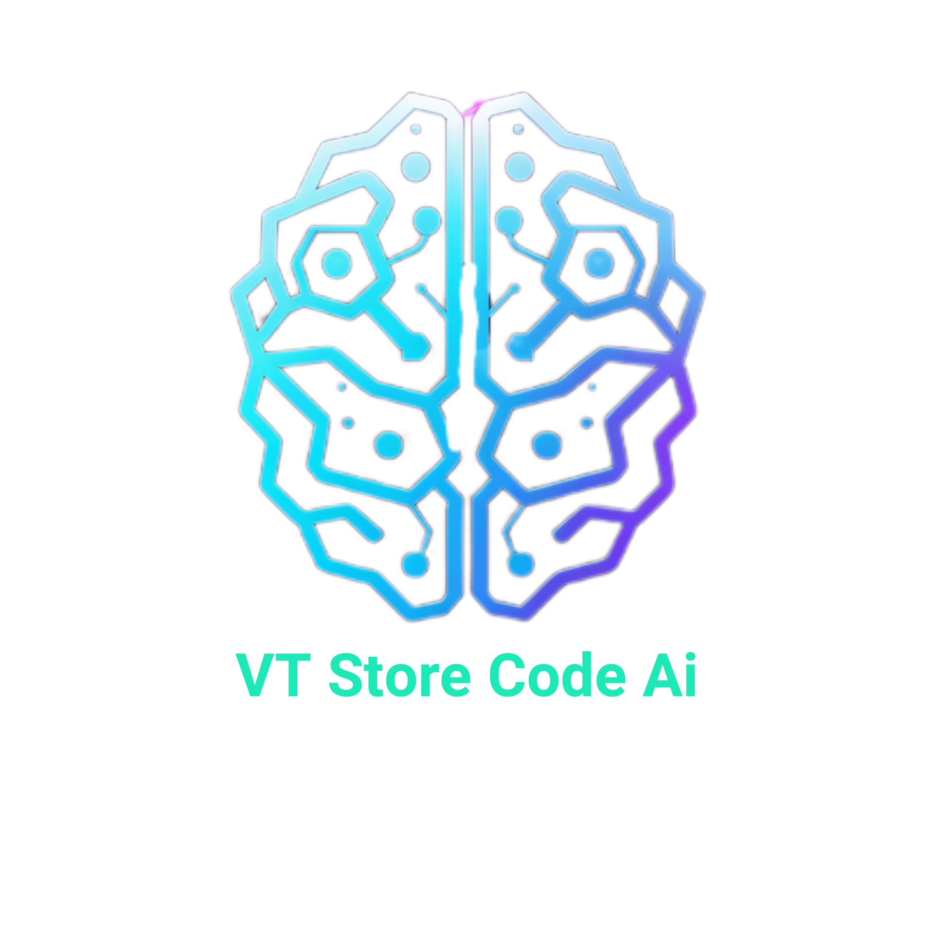 VTStoreCodeAi